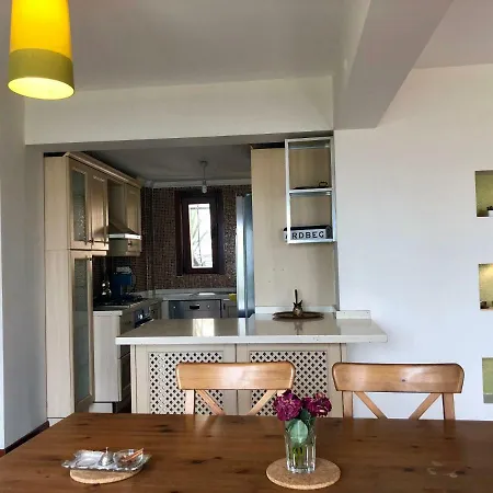 Villa Breath Taking Bosporus View In Cihangir *